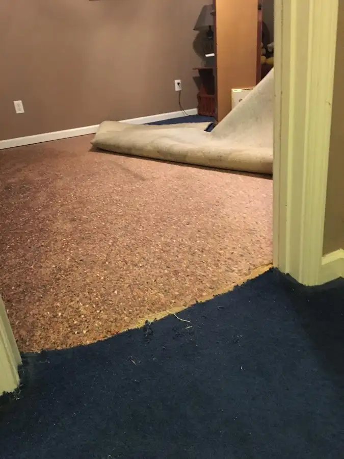 Carpet pad removal revealing water damage during Water Mitigation Services in Los Altos Hills