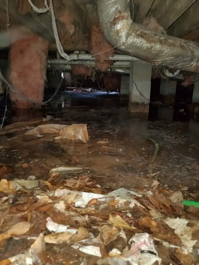 Crawl space flood assessment for Leak Detection & Repair in Los Altos Hills