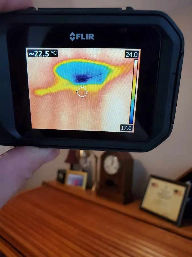 Thermal imaging inspection for water damage in Los Altos Hills